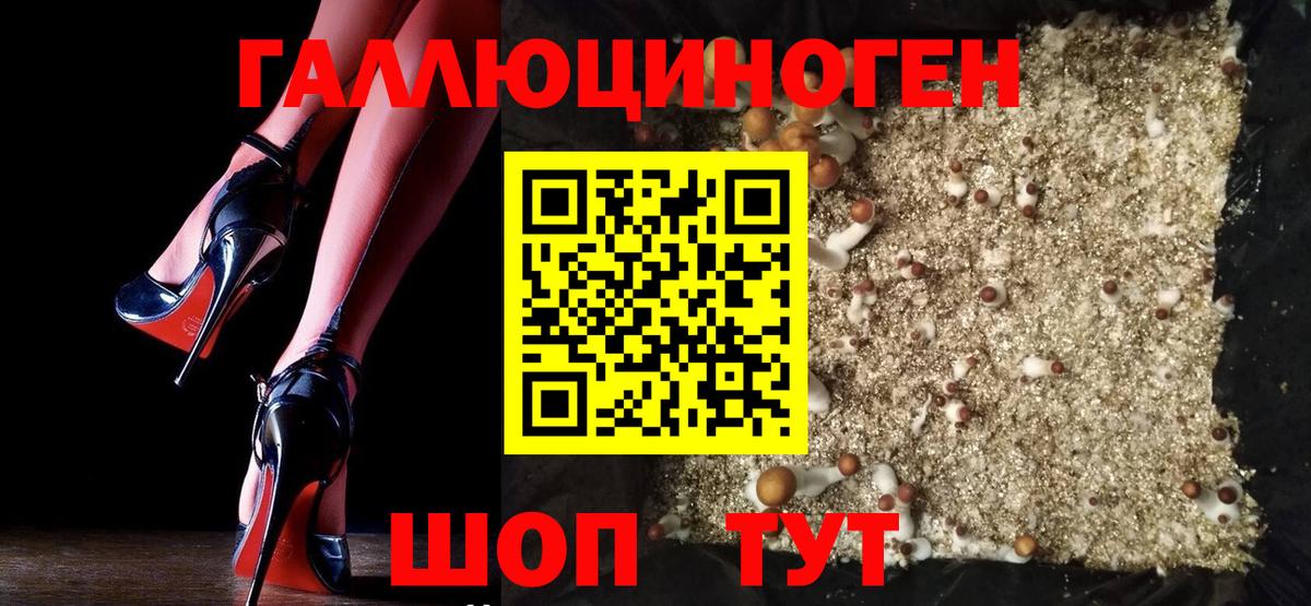 Вышний Волочёк  Галлюциногенные грибы Magic Shrooms  продажа наркотиков  Вход с VPN  Галлюциногенные грибы Psilocybine cubensis 